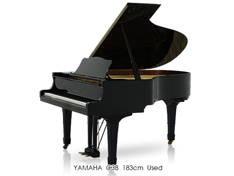 Kawai K300